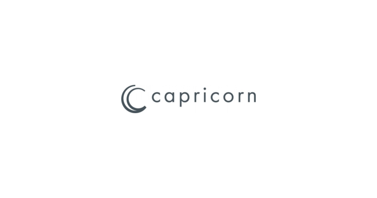 Mach deine Ausbildung bei der capricorn Holding GmbH in Düsseldorf